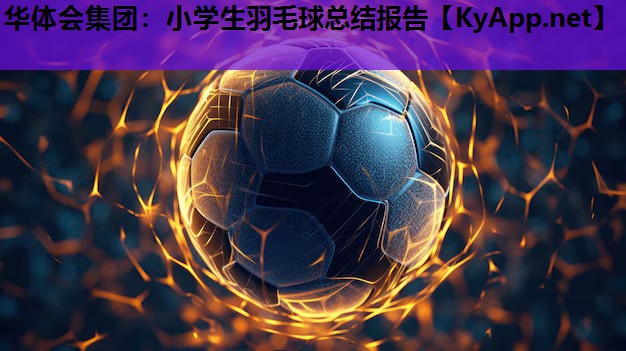 华体会集团：小学生羽毛球总结报告