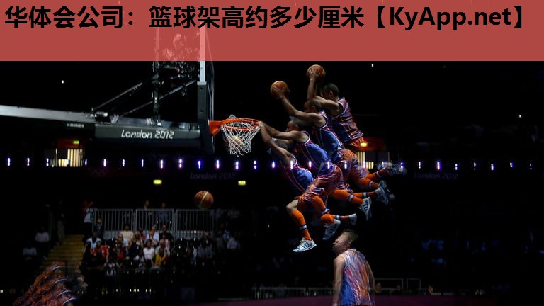 华体会公司：篮球架高约多少厘米