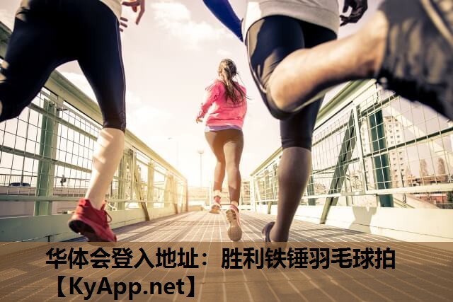 华体会登入地址：胜利铁锤羽毛球拍