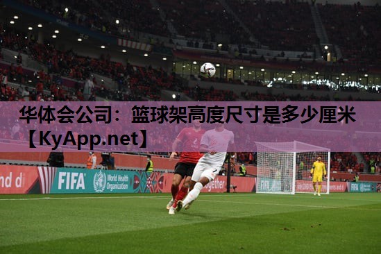 华体会公司：篮球架高度尺寸是多少厘米