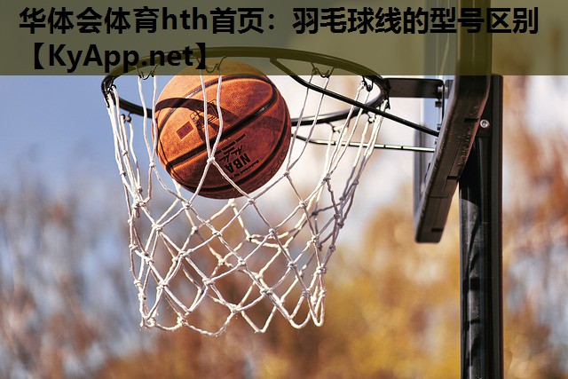 华体会体育hth首页：羽毛球线的型号区别