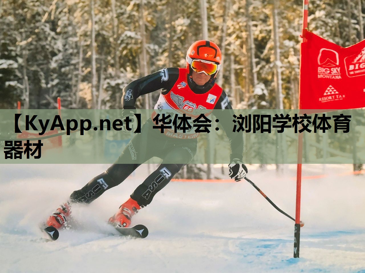浏阳学校体育器材 浏阳学校体育器材