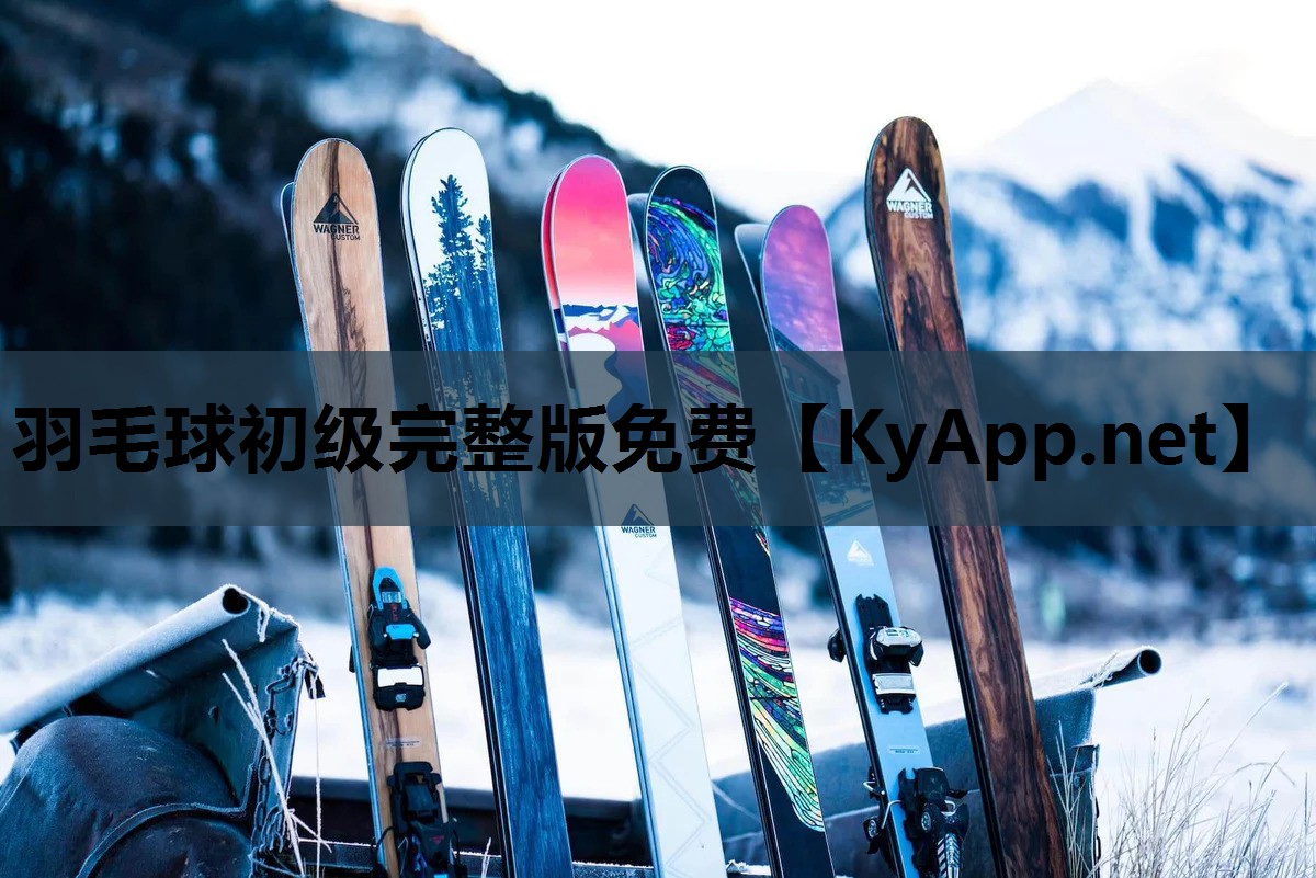 羽毛球初级完整版免费 羽毛球初级完整版免费