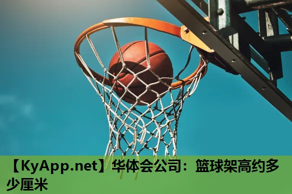 篮球架高约多少厘米 篮球架高约多少厘米