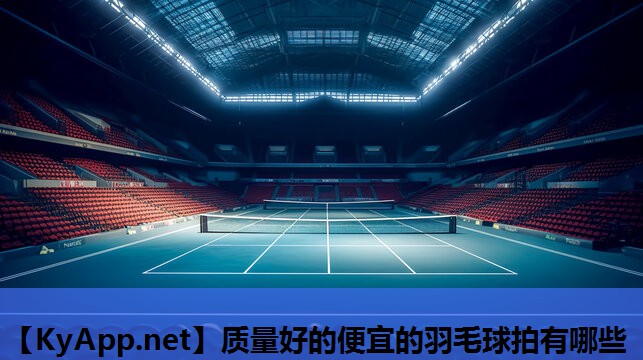 质量好的便宜的羽毛球拍有哪些 质量好的便宜的羽毛球拍有哪些