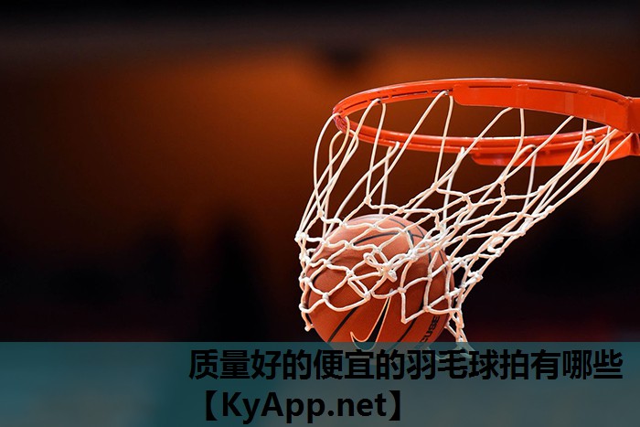 质量好的便宜的羽毛球拍有哪些 质量好的便宜的羽毛球拍有哪些